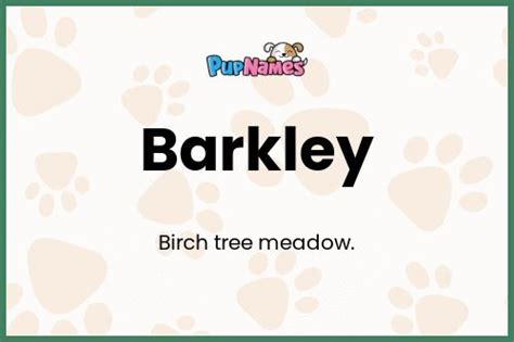 Barkley 🐶 - Dog Name Meaning & Popularity | PupNames.com™