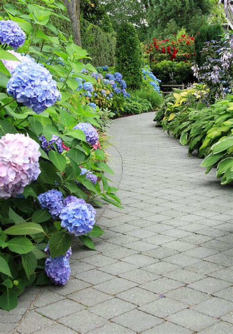 35 Hydrangea Garden Ideas Pictures