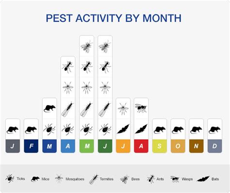 Pests In Ct A Timeline And Calendar Envirocare Pest Control