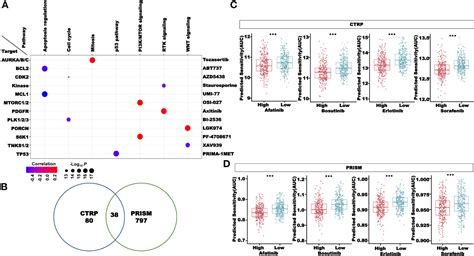 Frontiers Computational Identification And Clinical Validation Of A