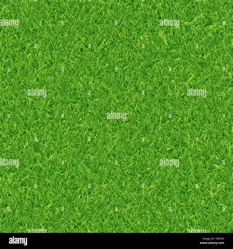 Green Grass Texture Vector Background Stock Vector Image And Art Alamy