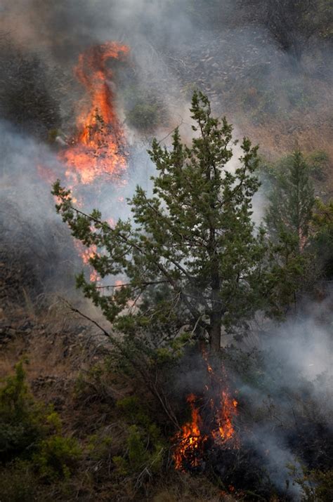 Oregon wildfires are shattering records this year - oregonlive.com