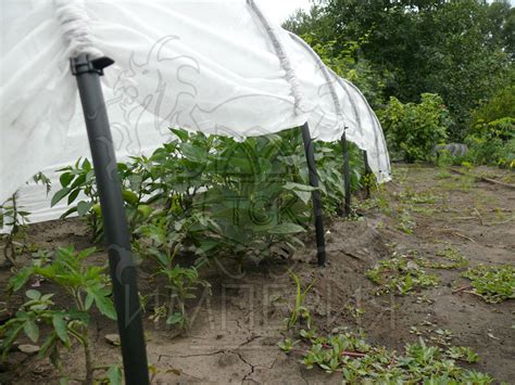 Парник "Агроном"