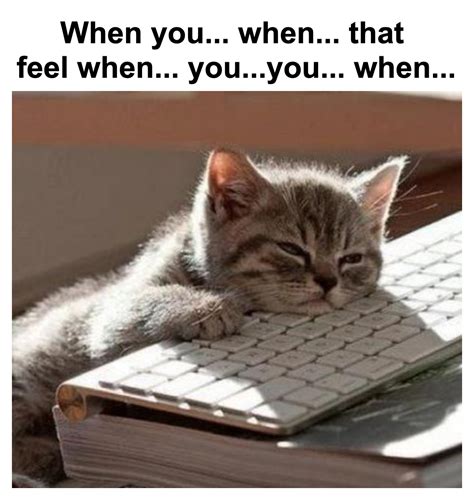 Tired Cat Memes Piñata Farms The Best Meme Generator And Meme Maker