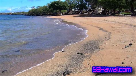 Spencer Beach Park Hawaii Good Morning Waves YouTube