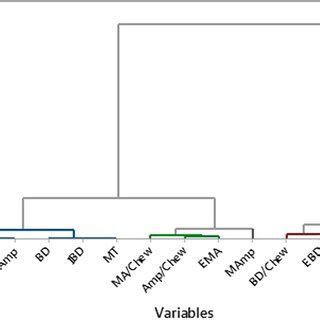 Dendrogram Showing Reproducibility Of Masseter Muscle Activity