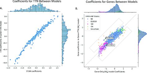 Correlation of coefficients in the Gene1TTN model (of the TTN-Fitness... | Download Scientific ...