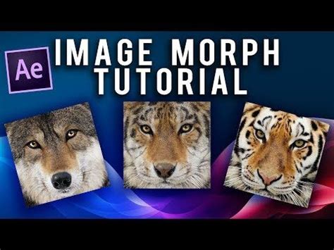 4 Morph Effect In After Effects No Plug Ins YouTube After