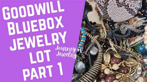 My First Ever Goodwill Bluebox Jewelry Unboxing Pound Shopgoodwill