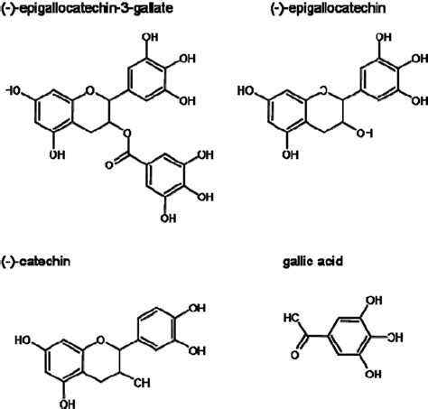 Chemical Structures Of Catechins And Gallic Acid Download Scientific Diagram