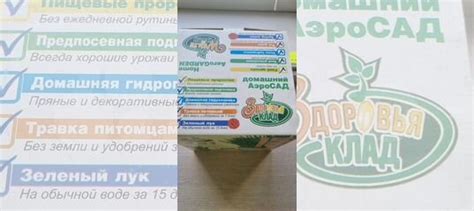 Домашний аэросад купить в Ангарске | Товары для дома и дачи | Авито