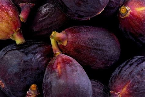 Black Mission Fig Or Brown Turkey