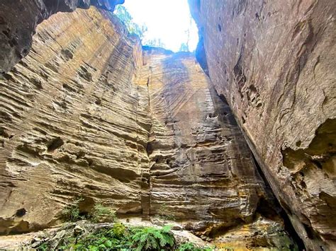 Complete Guide to the Carnarvon Gorge Walks - Queensland Camping