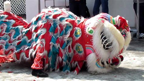 Lion Dance At Chinese New Year In Hong Kong 2 In 2011 Youtube