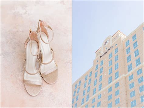 Disney Inspired Wedding | DoubleTree by Hilton Modesto Wedding