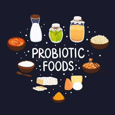 Vector Probiotic Foods Best Sources Of Probiotics Beneficial Bacteria