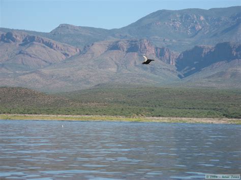 Roosevelt Lake Kayakingcamping On The Beckoning