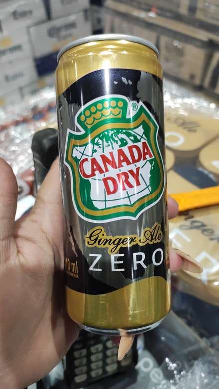 Booz Cl Bebida Canada Dry Ginger Ale Zero Lata 310cc