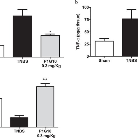 PAS Analysis Of P1G10 Effect On TNBS Induced Colitis Colitis Was