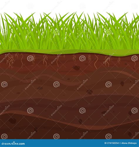 Soil Ground With Layers Grass Roots And Stones Earth Sections In