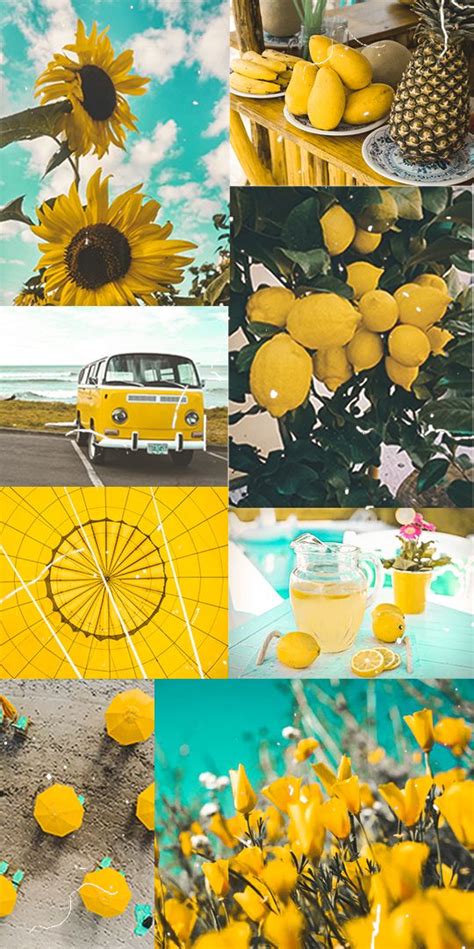 Yellow Aesthetic Collage Iphone Carta Da Parati Girasole Wallpaper