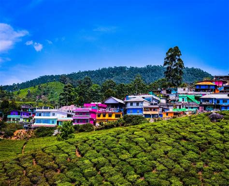 30 Places To Visit In Munnar In 2025 Top Tourist Attractions Places