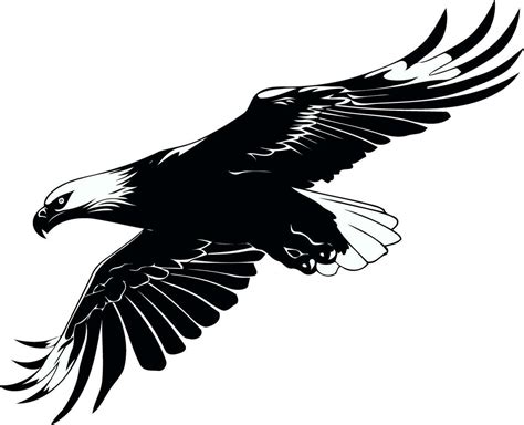 eagle bird flying black white 28205707 Vector Art at Vecteezy