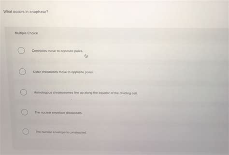 Solved What occurs in anaphase? Multiple Choice Ο Centrioles | Chegg.com