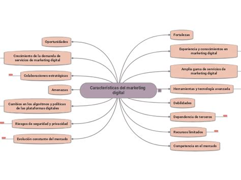 Características del marketing d Mindmap Voorbeeld