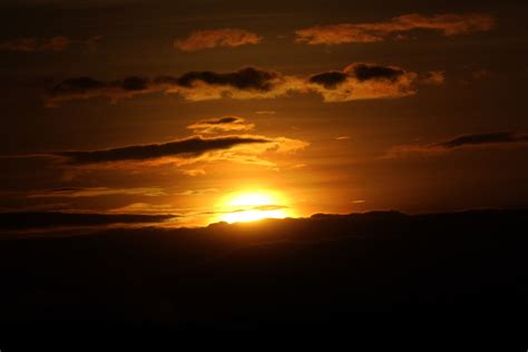 Morning Sunshine Free Stock Photo - Public Domain Pictures