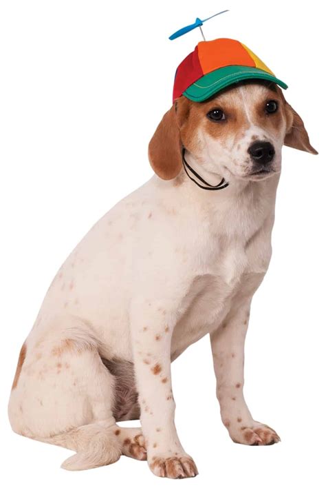 Propeller Dog Hat - Pet Costume Center