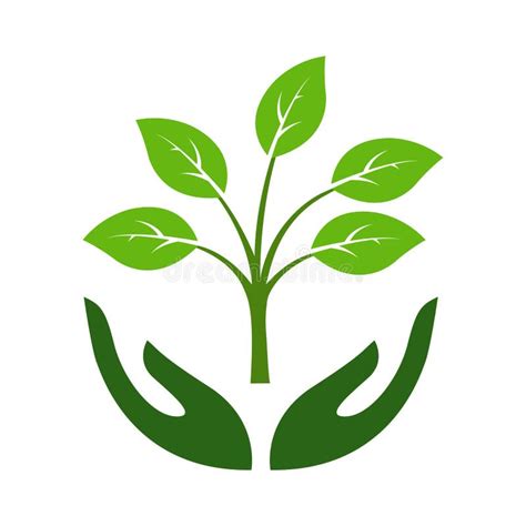 Icon Of Hands Carefully Holding Green Leaves Symbol Of Ecology