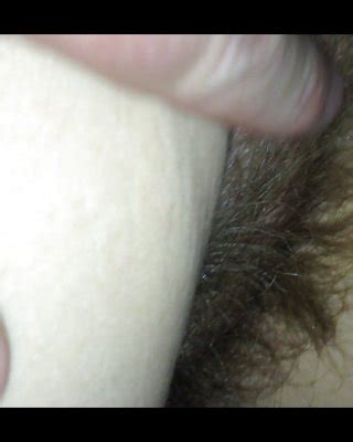 Hairy Pubes Porn Pics PICTOA