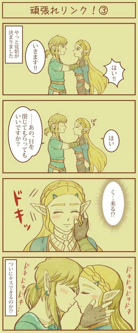 Pin De Max Brandt En Zelda Tloz Botw Personajes De Videojuegos Leyendas