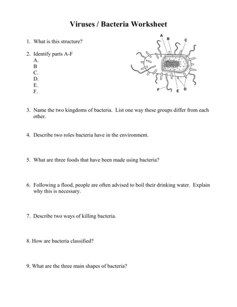 Viruses Bacteria Worksheet