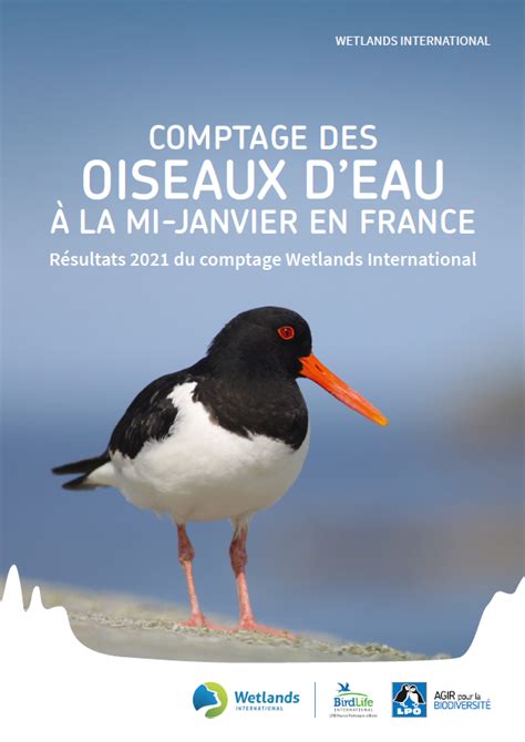 Synth Se Wetlands R Sultats Du Comptage Annuel Des Oiseaux Deau