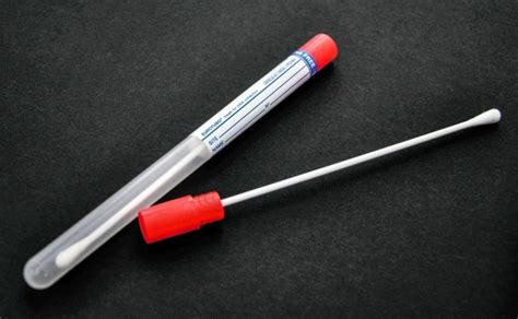 LATINA Covid tamponi e più di casi registrati Il Giornale Nuovo it