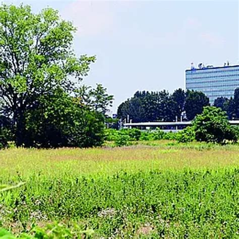 Nuovo Stadio A San Donato Il Milan Sta Cercando Mila Metri Quadri Di