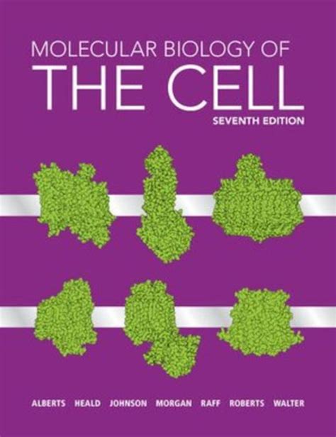 Molecular Biology Of The Cell By Bruce Alberts Rebecca Heald