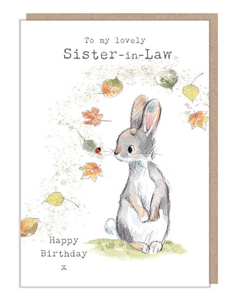 Sister In Law Birthday Card Cute Rabbit With Leaves And Lady Bird Illustration Bwe024