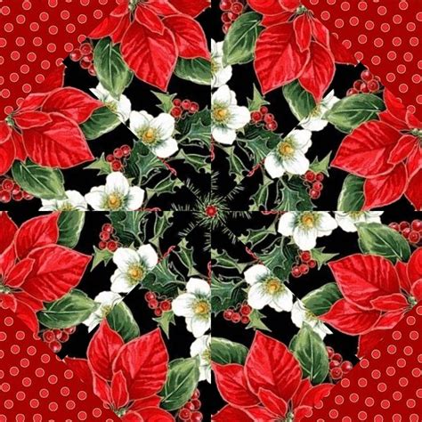 Pre Cut Quilt Kit Kaleidoscope Quilt Block Kit Stack N Whack Christmas