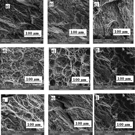 Scanning Electron Microscope Sem Micrographs Of Az31b Magnesium Alloy