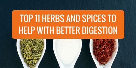 Top 11 Herbs And Spices To Help With Better Digestion Pesto And Margaritas