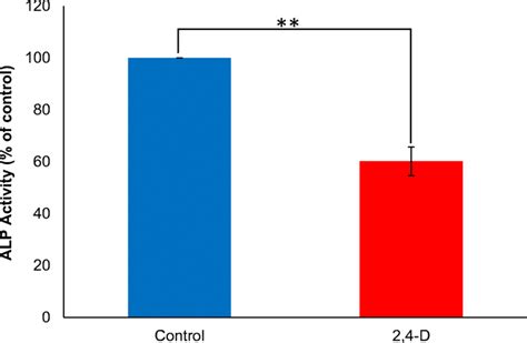 Alp Activity The Activity Of Alp Before And After 2 4 D Treatment Was Download Scientific