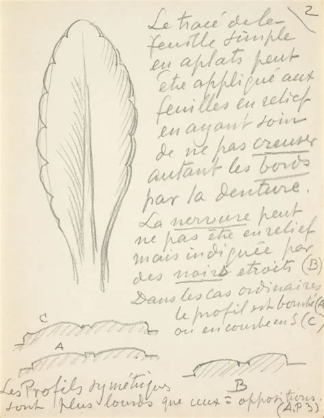 Feuille Eugène Grasset Musée d Orsay