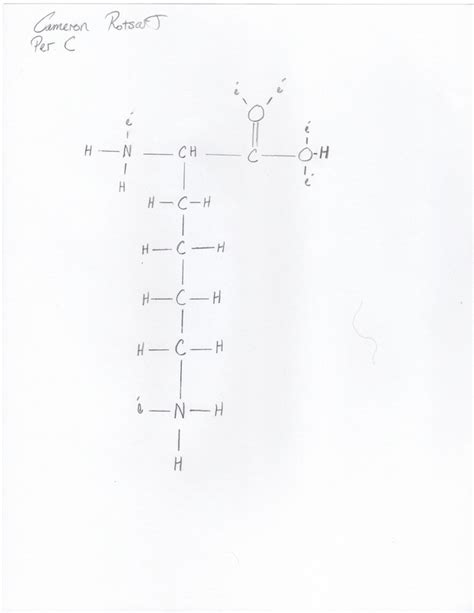 Lewis Structure Lysine