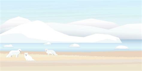 Arctic Background Vector Art, Icons, and Graphics for Free Download