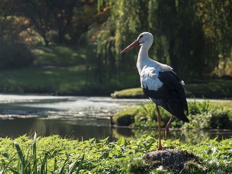 Prognoza pogody na wtorek Sprawdź jaka będzie aura