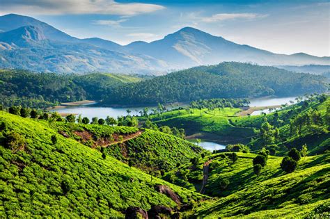 ¡todo Al Verde Los Países Más Biodiversos De Planeta