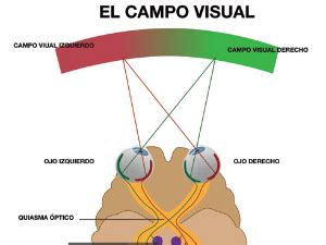 Con La Vista Se Perciben Objetos Que Se Encuentran En Un Campo Visual